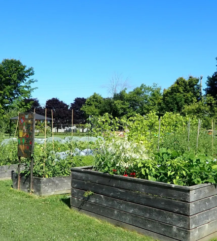 Jardin communautaire Bedford